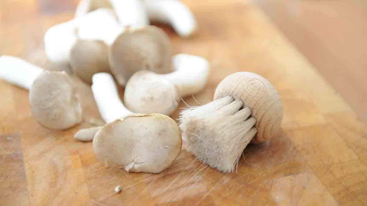Запеченные в сметане кабачки с грибами 